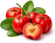 Acerola-Fruchtextrakt (Malpighia glabra) — Fruchtextrakt in {{OFFER_NAME}}